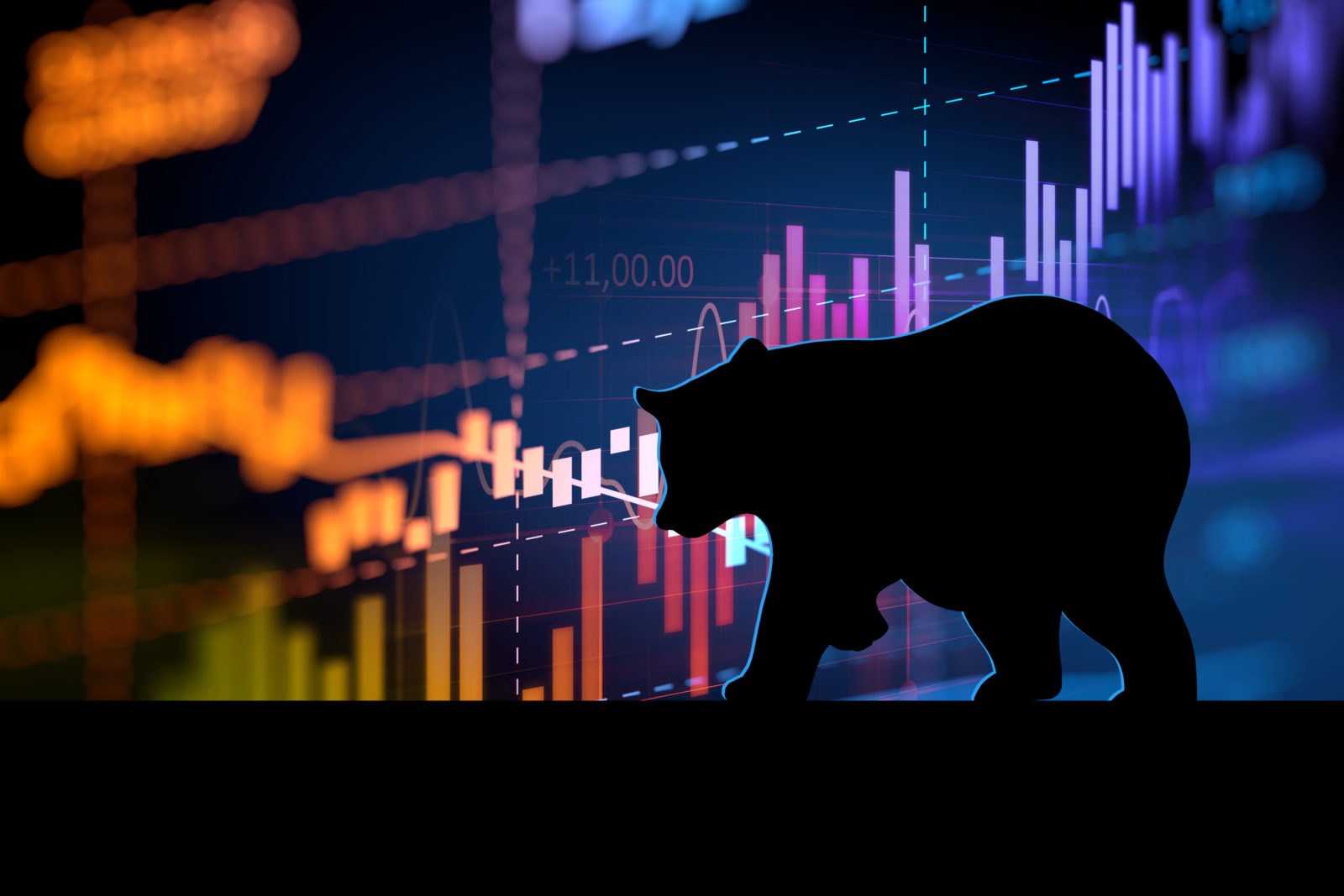 Investment Strategies In a Bear Market