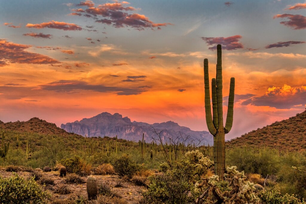 The Basics of Capital Gains Tax in Arizona