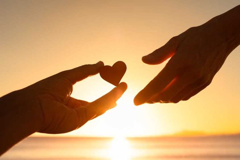 Give and Gain: Unveiling Philanthropy Tax Benefits
