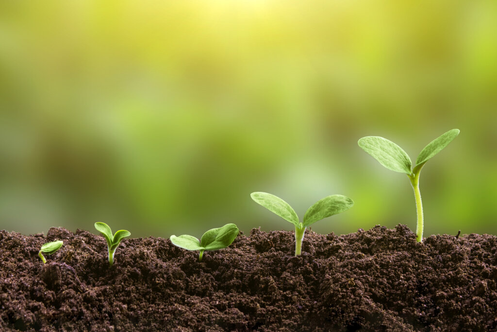 Smart Wealth Growth Strategies for Executives in a Shifting Market